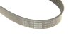Ремінь генератора Jeep Cherokee/Liberty 2.5/2.8 CRD 01- (6PK2870) (opt-om) BOSCH 1 987 947 567 (фото 5)