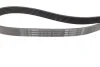 Ремінь генератора MB C-class (W202)/E-class (W211) 2.2CDI/2.7CDI 98-09 (OM612)(6PK2253) (opt-om) BOSCH 1 987 947 569 (фото 2)