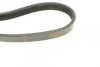 Ремінь генератора Citroen Jumper 1.9TD 94-02 (4PK698) (opt-om) BOSCH 1 987 947 803 (фото 3)