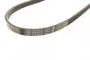 Ремінь генератора BMW X5 (E53) 3.0D 03-/Opel Astra G 1.7TD -00 (4PK884) UA63 BOSCH 1 987 947 807 (фото 5)