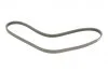 Ремінь поліклиновий MATIZ 1.0 I 02.2005 - 12.2010, SWIFT 1.3I HATCHBACK 06.1996 - 03.2001, JIMNY BOSCH 1 987 947 808 (фото 2)