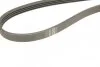 Ремінь генератора Fiat Brava 95-01/Peugeot 205/305 83-89/Renault Espace/Laguna 3.0 96-01 (4 UA63 BOSCH 1 987 947 809 (фото 4)
