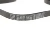 Ремінь поліклін. 6PK2080 (вир-во Bosch) BOSCH 1 987 947 824 (фото 3)