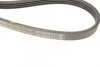 Ремінь генератора Mitsubishi Galant 1.8/2.0 87-03/Toyota Hilux 2.4 97-05 (4PK935) UA63 BOSCH 1 987 947 826 (фото 4)