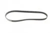 Ремінь генератора Renault Kangoo 1.2i 97-/Subaru Impreza 2.0 05-07/Nissan Pathfinder 4. (opt-om) BOSCH 1 987 947 829 (фото 5)