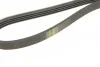 Ремінь генератора Citroen Jumper/Peugeot Boxer 2.5TD 94-02/Hyundai Santa Fe 2.0-2.4 01-06 (UA63 BOSCH 1 987 947 846 (фото 4)