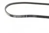 Ремінь генератора Smart Fortwo 0.7i/0.8CDI 04-07/Toyota Yaris 1.3-1.5 99-05 (3PK850) UA63 BOSCH 1 987 947 854 (фото 2)