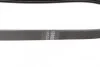 Ремінь генератора Renault Kangoo 1.6i 08-/ Nissan Micra1.0-1.4 92-03 (4PK725) UA63 BOSCH 1 987 947 889 (фото 2)