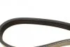 Ремінь генератора Honda Civic VI/Nissan Primera/Citroen Berlingo 1.4-1.6 16V 94-05 (4PK800) UA63 BOSCH 1 987 947 893 (фото 3)