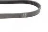 Ремінь генератора Ford Focus 2.0 04-12/Peugeot 405/605 1.8/2.0 Turbo 88-99 (5PK710) UA63 BOSCH 1 987 947 909 (фото 2)