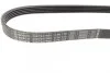Ремінь генератора Ford Focus 2.0 04-12/Peugeot 405/605 1.8/2.0 Turbo 88-99 (5PK710) UA63 BOSCH 1 987 947 909 (фото 3)