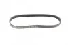 Ремінь генератора Ford Focus 2.0 04-12/Peugeot 405/605 1.8/2.0 Turbo 88-99 (5PK710) UA63 BOSCH 1 987 947 909 (фото 5)