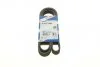 Ремінь поліклін. 6PK1555 (вир-во Bosch) BOSCH 1 987 947 949 (фото 1)