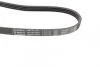Ремінь генератора Hyundai i10/i20/i30 1.1/1.6CRDi 08-13/Fiat Doblo/Punto/Stilo 1.2/1.4 (opt-om) BOSCH 1 987 947 961 (фото 3)