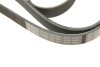 Ремінь п-клиновий 6pk1840 BOSCH 1 987 947 984 (фото 5)