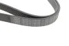 Ремінь генератора Jeep Cherokee 2.5Tdi 4x4 96-01/Opel Frontera A 2.5TDS 96-98 (8PK2188) (opt-om) BOSCH 1 987 948 314 (фото 3)