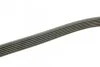 Ремінь генератора Fiat Doblo1.3-1.6 D 10-/Opel Astra F/Corsa B/Vectra B 1.4-1.8/ 94-03 (6PK UA63 BOSCH 1 987 948 315 (фото 3)