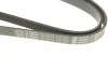 Ремінь генератора Fiat Doblo1.3-1.6 D 10-/Opel Astra F/Corsa B/Vectra B 1.4-1.8/ 94-03 (6PK UA63 BOSCH 1 987 948 315 (фото 4)
