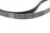 Ремінь генератора Audi A6 S6/RS6 quattro 99-05/A8 3.7/4.2/S8 quattro 94-02 (6PK2680) (opt-om) BOSCH 1 987 948 323 (фото 2)
