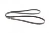 Ремінь генератора Audi A6 S6/RS6 quattro 99-05/A8 3.7/4.2/S8 quattro 94-02 (6PK2680) (opt-om) BOSCH 1 987 948 323 (фото 5)