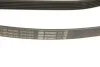 Ремінь генератора Jeep Grand Cherokee II 2.7 CRD 01-05 (6PK2603) (opt-om) BOSCH 1 987 948 335 (фото 4)