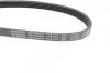 Ремінь генератора Ford Mondeo I/II 1.8TD 93-00 (5PK575) (opt-om) BOSCH 1 987 948 354 (фото 3)