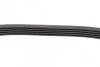 Ремінь генератора Ford Mondeo I/II 1.8TD 93-00 (5PK575) (opt-om) BOSCH 1 987 948 354 (фото 4)