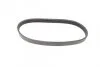 Ремінь генератора Ford Mondeo I/II 1.8TD 93-00 (5PK575) (opt-om) BOSCH 1 987 948 354 (фото 5)