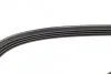 Ремінь генератора Mazda 323 89-04/ Mitsubishi Pajero II 94-99 (4PK1000) UA63 BOSCH 1 987 948 359 (фото 4)