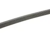 Ремінь генератора Audi 100/A6 4.2 V8 92-97/A8 3.3TDI 00-02 (6PK2615) (opt-om) BOSCH 1 987 948 366 (фото 3)