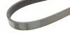 Ремінь генератора Audi 100/A6 4.2 V8 92-97/A8 3.3TDI 00-02 (6PK2615) (opt-om) BOSCH 1 987 948 366 (фото 4)