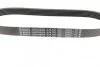 Ремінь генератора Citroen Berlingo/Fiat Ducato/Peugeot Boxer/Expert 1.9 D/TD 96-03 (6PK730) UA63 BOSCH 1 987 948 428 (фото 2)
