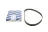 Ремінь ГРМ Mazda 323 1.5i 16V 94-98 (22x125z) (opt-om) BOSCH 1 987 949 467 (фото 1)