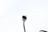 Датчик ABS (задний) Nissan X-Trail 14- (opt-om) BREMI 51699 (фото 3)