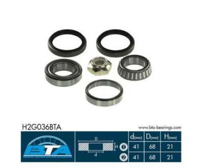 Комплект підшипника колеса задн лів/прав (40x68x21) FORD ESCORT V, ESCORT VI, SCORPIO I, SCORPIO II, SIERRA, SIERRA I, SIERRA II 1.6-2.9 08.82-10.98 BTA H2G036BTA