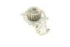 Помпа води Citroen C1/C2/C3/Nemo/Ford Fiesta/Peugeot 1007/206/307 1.4HDi/TDCI 02- UA63 BUGATTI PA10013 (фото 3)