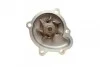 Помпа води Opel Astra G/H/J/Combo/Corsa C/D/Zafira 1.7CDTI/DTI 00- (R/B)(7 лоп) UA63 BUGATTI PA10014 (фото 2)