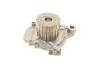 Помпа води Honda Accord VI 1.6/i/LS/Civic V/VI 1.4-1.6 16V 95-02/HR-V 1.6 16V 99- (B/B)(7лоп) UA63 BUGATTI PA10035 (фото 4)