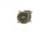 Помпа води Audi A3/Seat Ibiza/Skoda Fabia/Octavia/VW Golf/Passat 1.6/1.6FSI 03- UA63 BUGATTI PA10043 (фото 2)