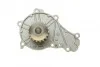Помпа води Citroen Berlingo/C3/C4/C5/Jumpy/Ford Transit/Focus 1.5-1.6TDCI/HDI 04-(B/B)(20лп)) UA63 BUGATTI PA10052 (фото 4)
