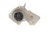 Помпа води Ford C-Max II/Focus II/III/Mondeo IV/Fiesta/Kuga/Connect/Volvo 1.4/1.6 13- (R/B) (6 ло UA63 BUGATTI PA10107 (фото 2)