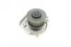 Помпа води Fiat Doblo/Panda/Punto 1.4 05-/Opel Combo 1.4 12-/Ford Ka 1.2 08-16 UA63 BUGATTI PA10153 (фото 5)