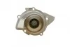 Помпа води Citroen C4/C5/C8/Jumpy/Fiat Scudo/Peugeot 308/407/Ford Focus 2.0HDI 06-(B/B)(24лоп) UA63 BUGATTI PA10170 (фото 2)