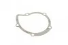 Помпа води Citroen C4/C5/C8/Jumpy/Fiat Scudo/Peugeot 308/407/Ford Focus 2.0HDI 06-(B/B)(24лоп) UA63 BUGATTI PA10170 (фото 6)