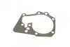 Помпа води Renault Clio/Megane/Scenic/Kangoo/Laguna 1.4/1.6i 01-/Nissan Kubistar 03-09 (R/B)(8 ло UA63 BUGATTI PA10235 (фото 8)