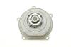 Помпа води Honda Accord V/VI/Civic VI 2.0TDi/i D/Land Rover Freelander 2.0DI 4x4 96-02 (B/B) ((opt-om) BUGATTI PA5204 (фото 5)