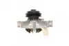 Помпа води Citroen Jumper/Peugeot Boxer 2.5D/TD/TDI/4x4 96-02 (B/B) (8 лоп) UA63 BUGATTI PA5508 (фото 8)