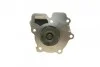 Помпа води Ford Transit 2.5D/TD 85-00/LDV Convoy 2.5DI/TDI 98-09 UA63 BUGATTI PA6003 (фото 2)