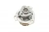 Помпа води Opel Astra G/Vectra B/C/Zafira A/Omega B 2.0DI/DTI/2.2DTI 96-06 UA63 BUGATTI PA7208 (фото 8)
