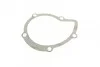 Помпа води Citroen C4-C8/Jumpy 2.0-2.2HDi/Fiat Scudo 2.0D/Ford Focus 2.0TDCI 01- (B/B)(8лоп) UA63 BUGATTI PA7409 (фото 8)